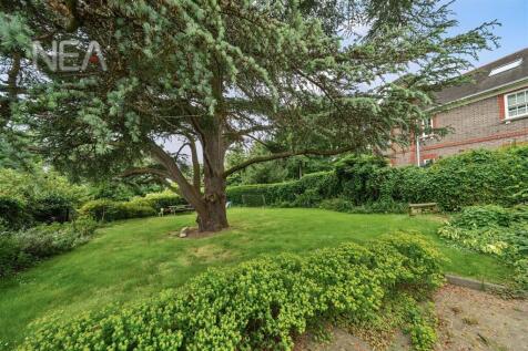 Courtyard Garden