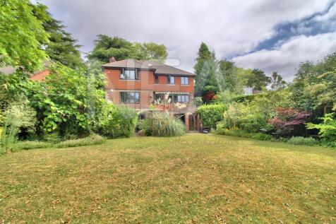 Driveway &amp; garden