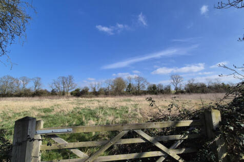 Surrounding Area