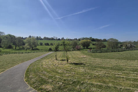 Surrounding Area