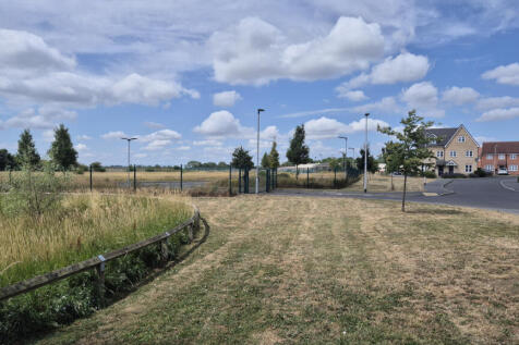 Surrounding Area