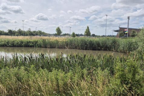 Surrounding Area