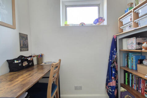 Study Area