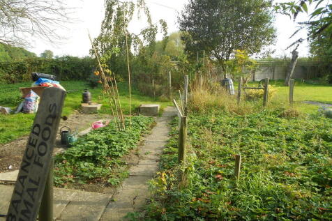 Property Image 32