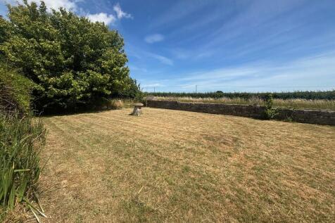 garden 4