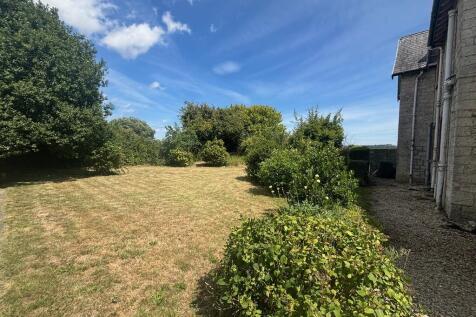 garden 1
