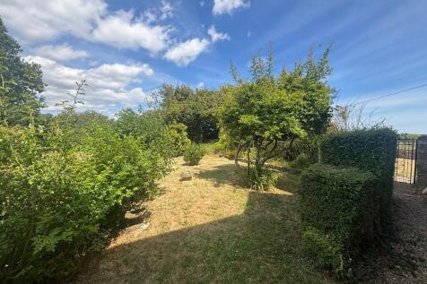 garden 3