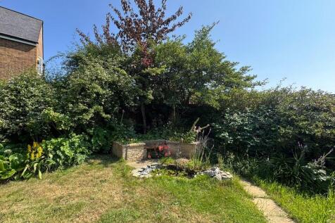 garden new 1
