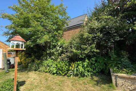 garden new 6