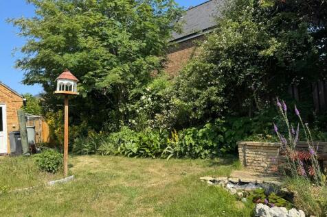 garden new 8