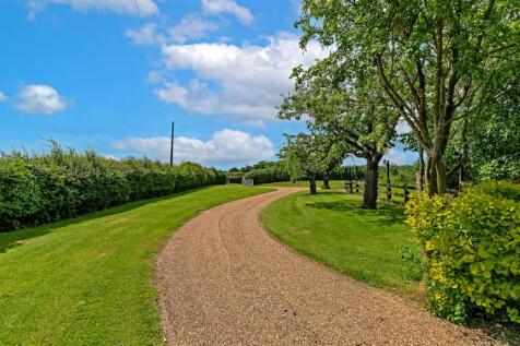 TheGreens-19.jpg