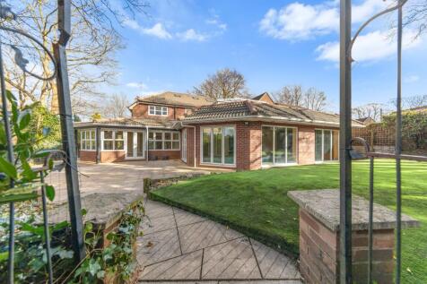 Property Image 42