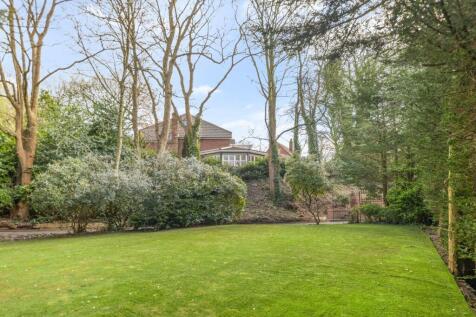 Property Image 46