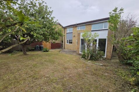 Rear Elevation 