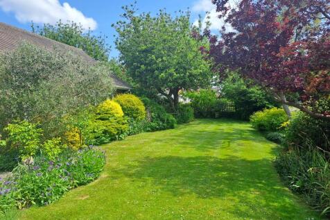 South Facing Side Garden