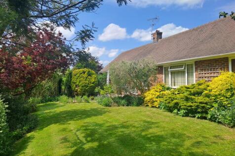 South Facing Side Garden