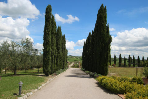 Image 14