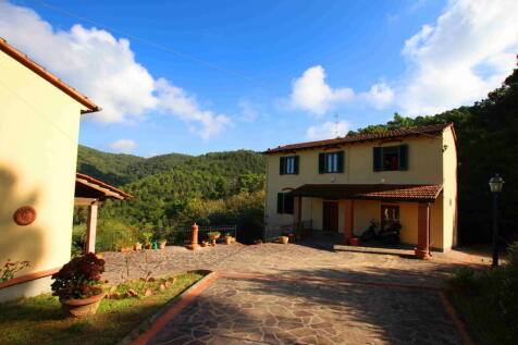 Image 12