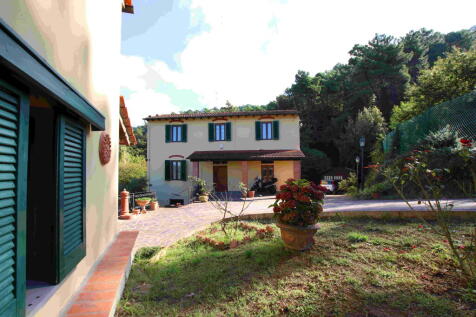 Image 13