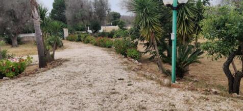 Image 15