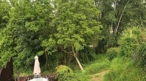 Image 12