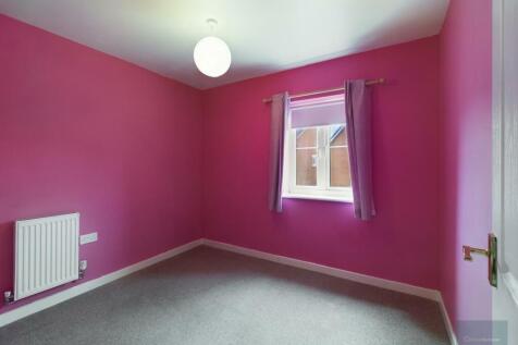 CAM02558G0-PR0204-ST