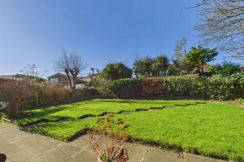 garden 1.jpg