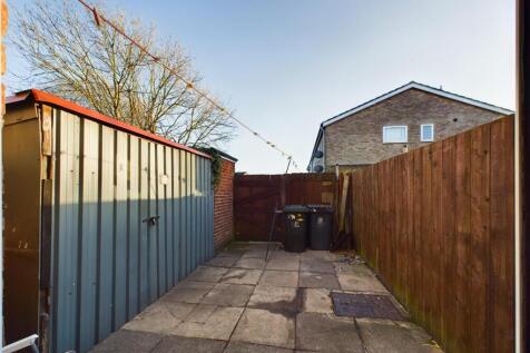 rear yard.jpg