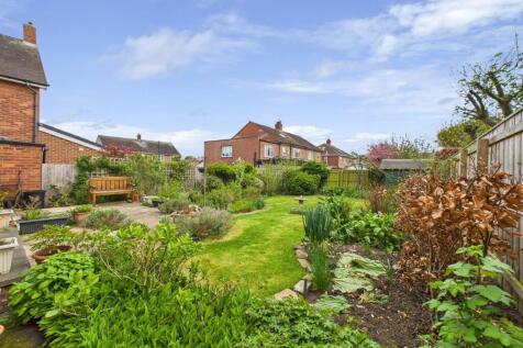 garden 2.jpg