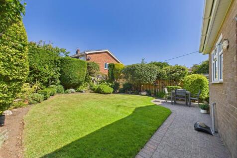 garden 2.jpg