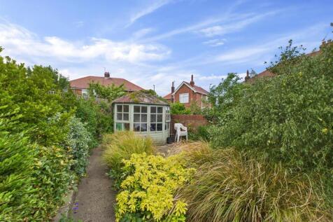 garden 4.jpg