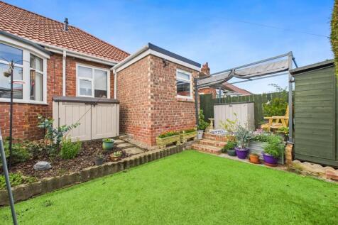 garden 3.jpg