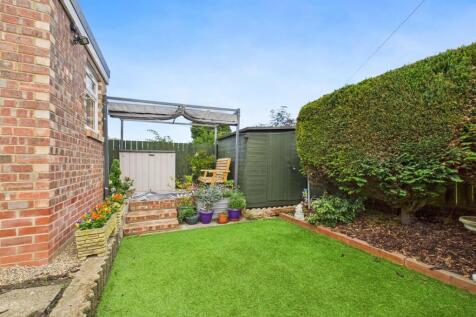 garden 2.jpg