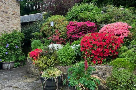 Property Image 29