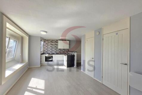 Bedroom/Lounge/Kitchen