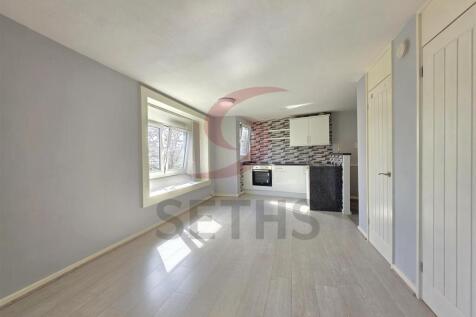 Bedroom/Lounge/Kitchen