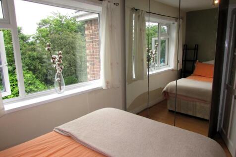 LordLane305bedd2.JPG