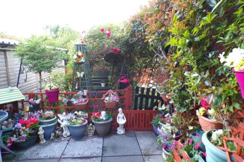 AlderRd79NEWgdn1.JPG