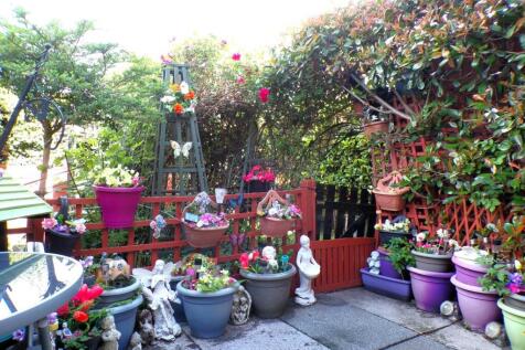 AlderRd79NEWgdn2.JPG
