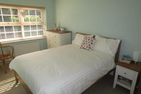 LimeLn2bed2.JPG