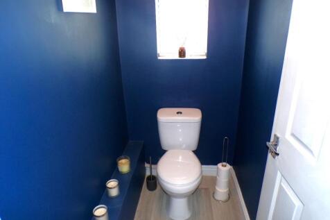 DukeSt5wc1.JPG