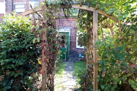 Garden (3).JPG