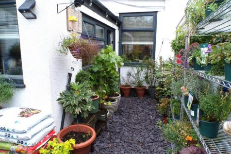ARE319gdn3.JPG