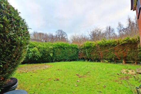 back garden.jpg