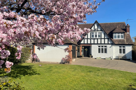 Front with Blossom Tree in Flower