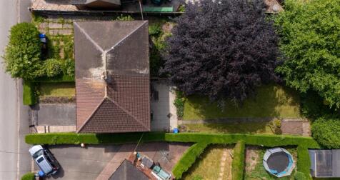 DJI_20250522150311_0338_D.jpg