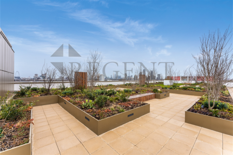 Rooftop garden