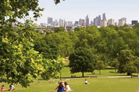 Primrose Hill View