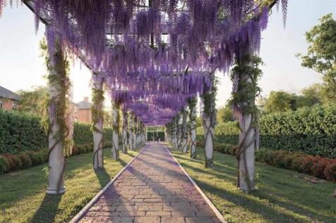 Wisteria Walk