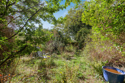 Wild Garden